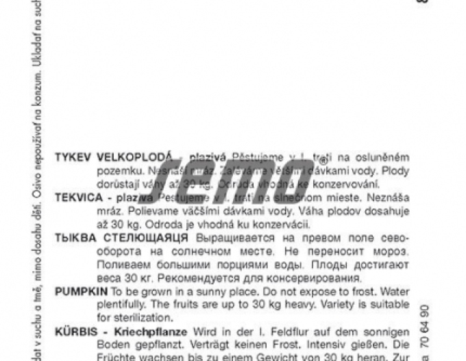 Semo Tykev velkoplodá - plazivá Goliáš