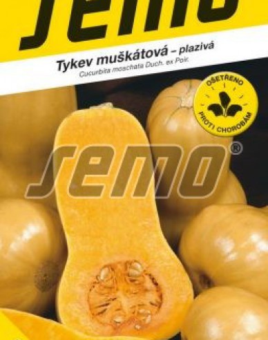 Semo Tykev muškátová ´Stella F1´