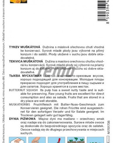 Semo Tykev muškátová ´Stella F1´