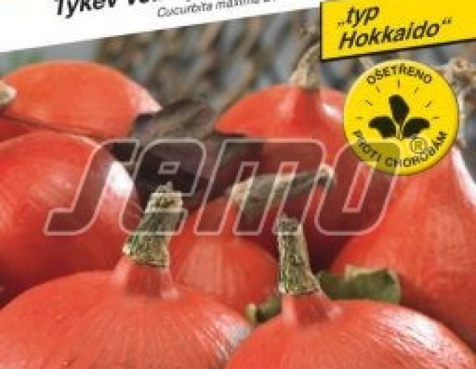 Semo Tykev velkoplodá ´Solor F1´