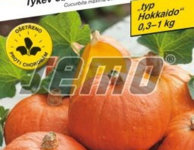 Dýňová semena Hokkaido ´Shokichi Red F1´