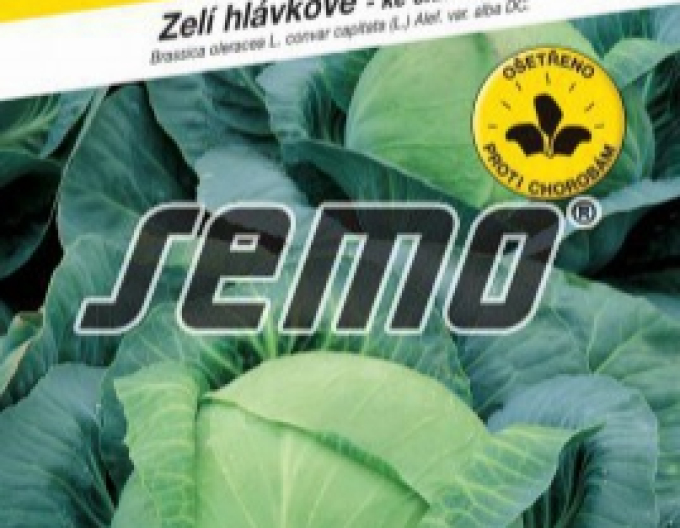 Semo Zelí hlávkové Holt