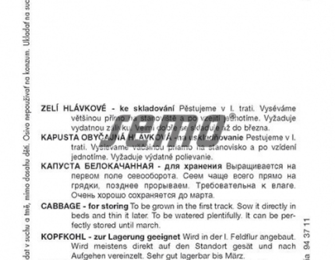 Semo Zelí hlávkové Holt