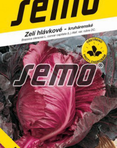 Semo Zelí hlávkové ´Kalibos´