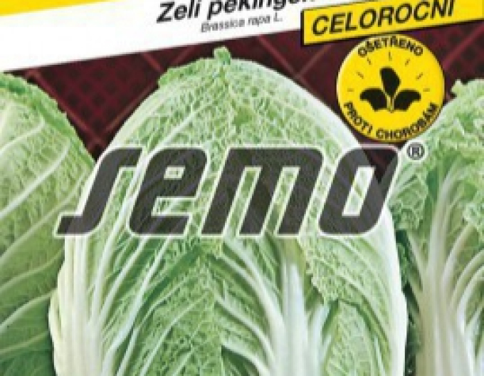 Semo Zelí pekingské ´Manoko F1´