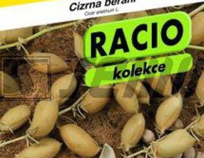 Cizrna cizrna