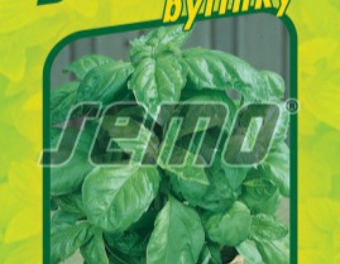 Semo bazalka pravá Lettuce Leaf