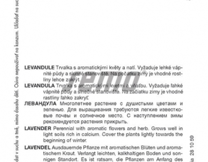 Semena levandule
