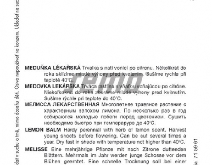 Semo Meduňka lékařská