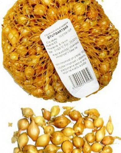 Cibule sazečka ´Štutgartská´ 10/21 0,5kg