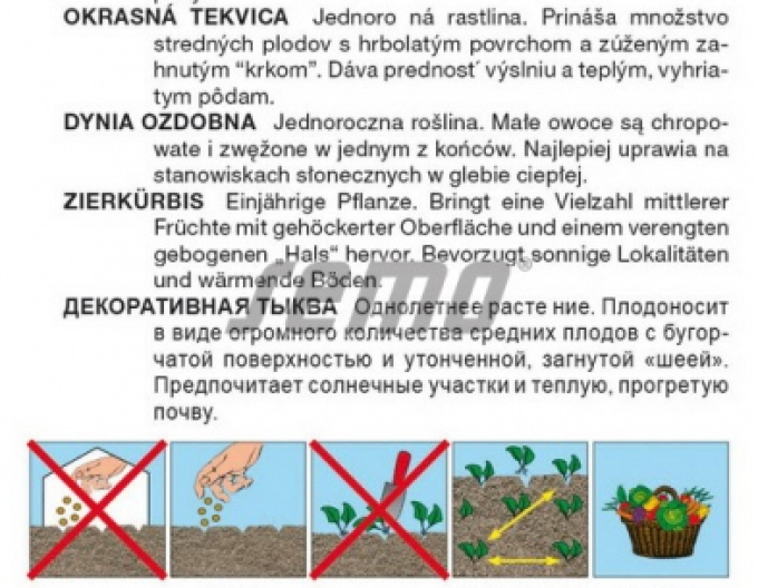 Semena Okrasná dýně ´Ga Ga Ga Ga´