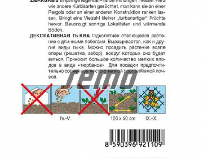 Semo Tykev okrasná Mini Turban