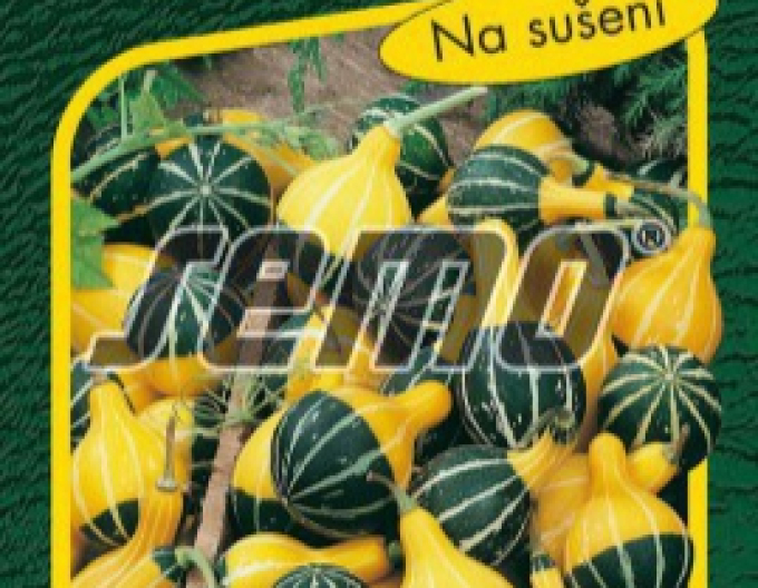 Semo Tykev okrasná Pear Bicolor