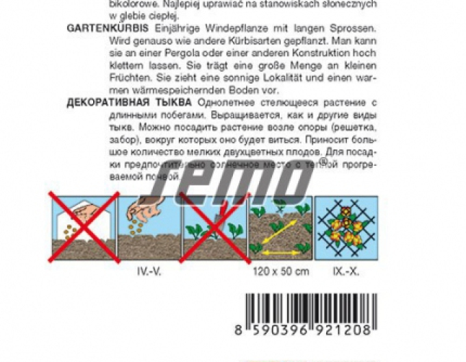 Semo Tykev okrasná Pear Bicolor