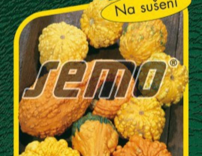 Semo Okrasná dýně Z Bradavic