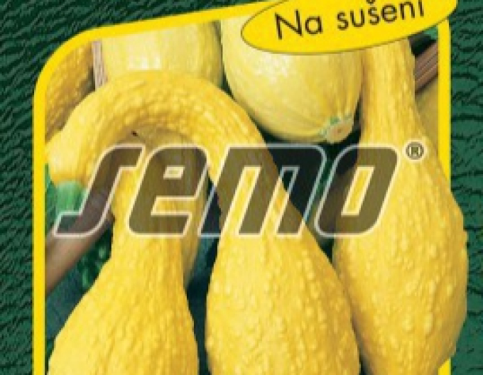 Semo Okrasná dýně Kačenky