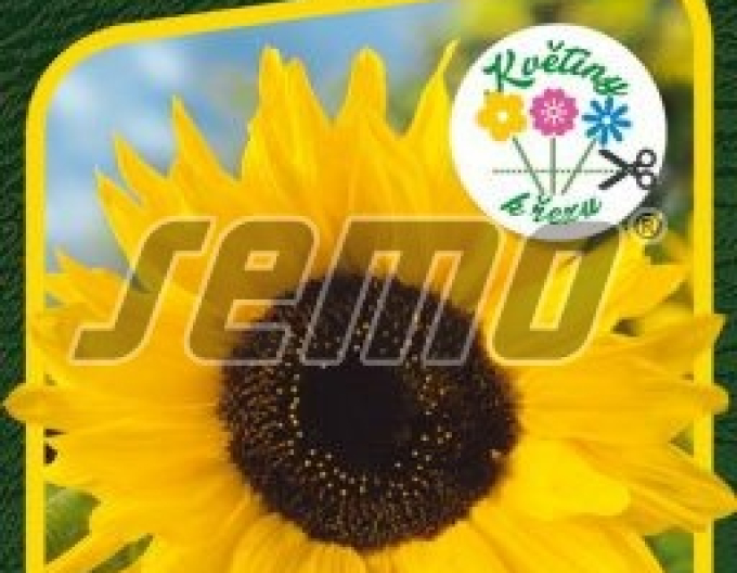 Semo Slunečnice roční ´Sun´
