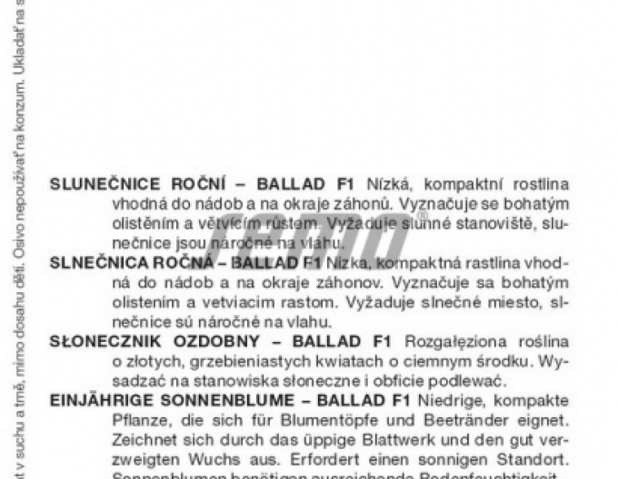 Semo Slunečnice roční ´Mezzulah F1´