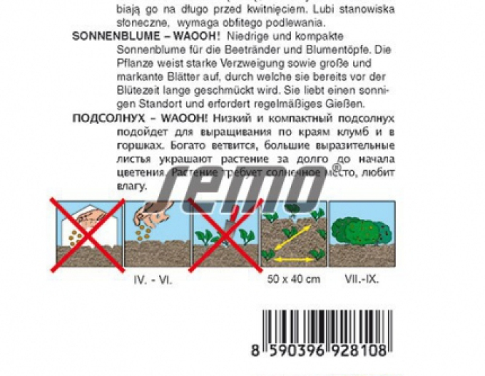 Semo Slunečnice roční ´Waooh´