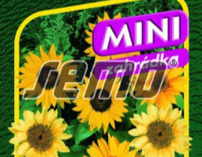 Semo Slunečnice roční Pacino Mix
