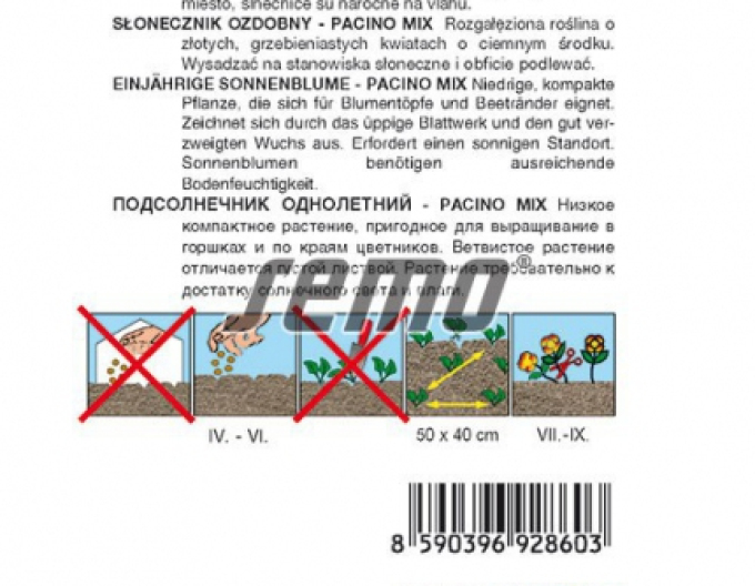 Semo Slunečnice roční Pacino Mix