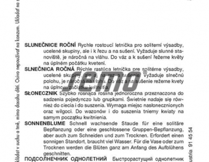 Semo Slunečnice roční Teddy Bear