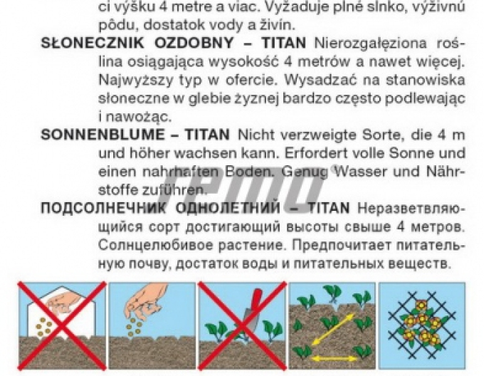 Semo Slunečnice roční ´Titan´