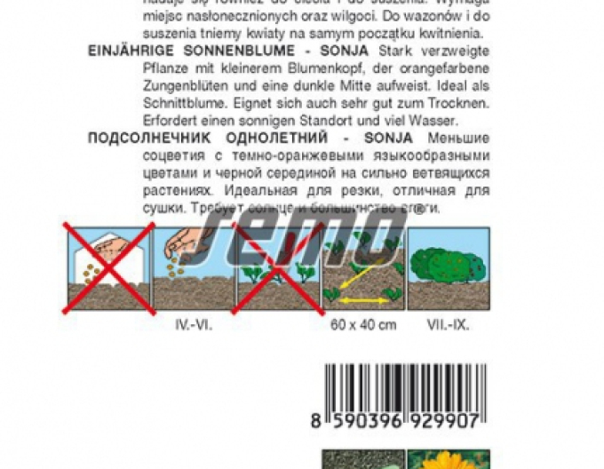 Semo Slunečnice roční ´Sonja´