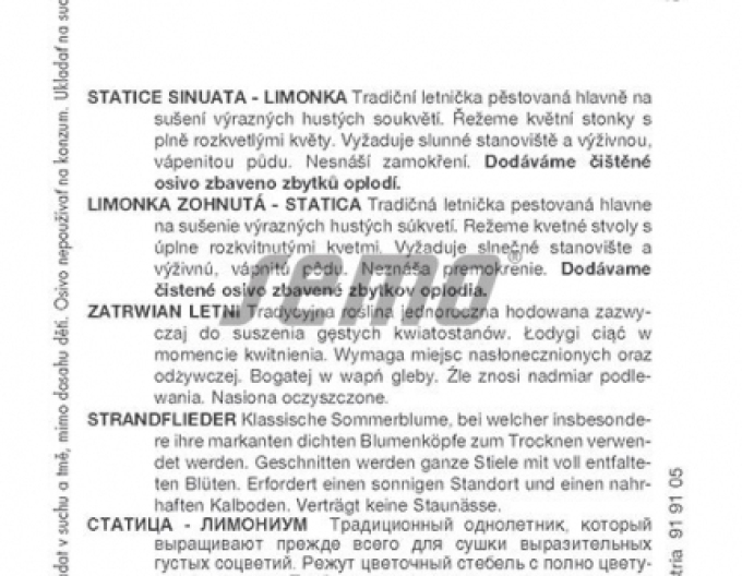 Semo Statice sinuata (limonka) White