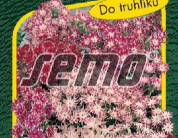 Semo Flox Cuspidata ´Mixture´