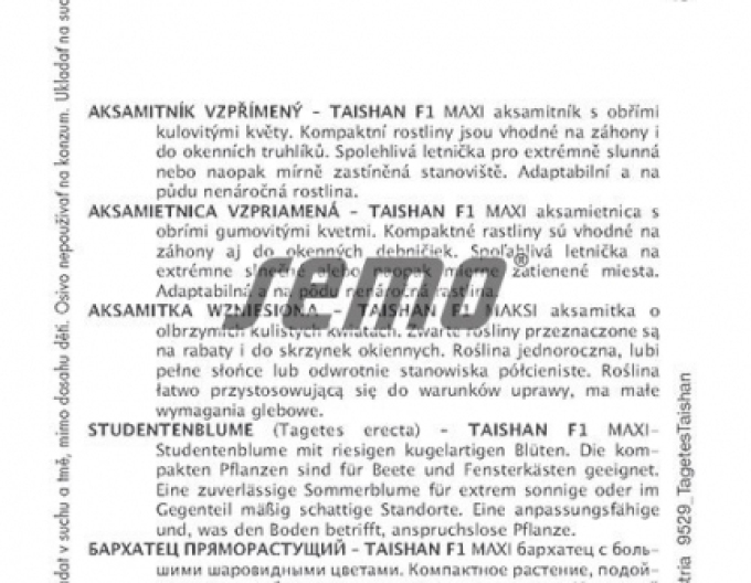 Semo Aksamitník vzpřímený ´Taishan F1´