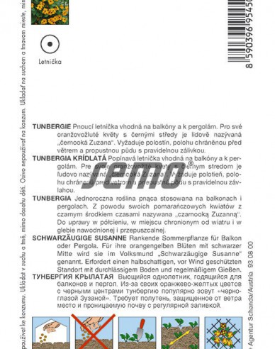 Semo Tunbergie (Černooká Zuzana) oranžová s okem
