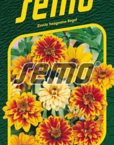 Semo Ostálka Haageova Směs