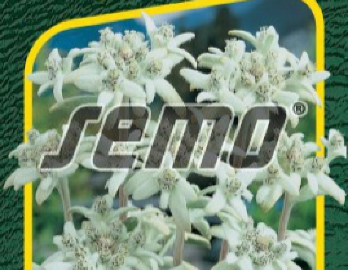 Semo Alpine mouldweed ´Edelweiss´