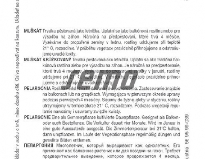 Semo Muškát kružkovaný ´Červený´