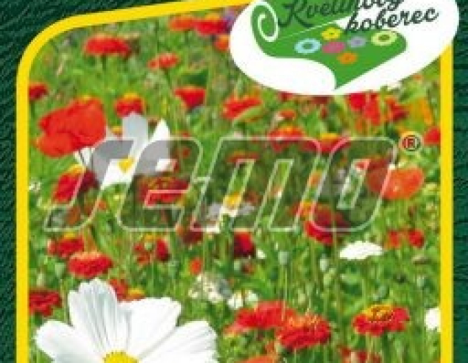 Semo Květinový koberec "Jahody se šlehačkou