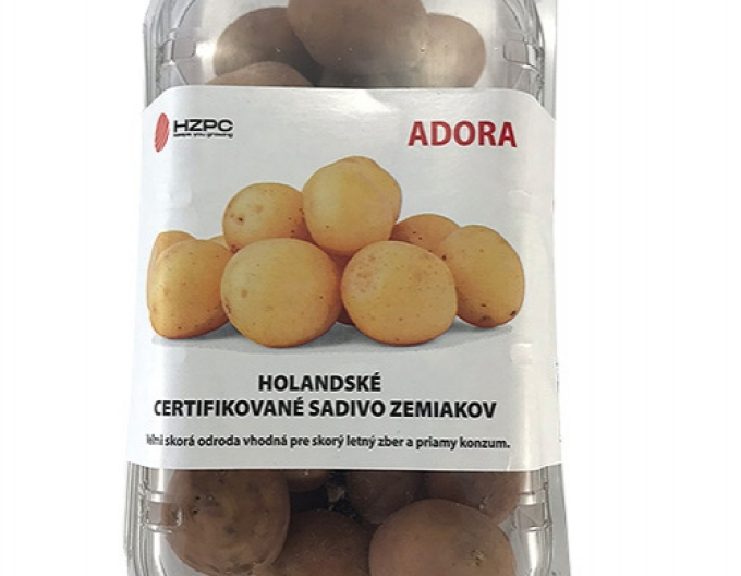 Sadbové brambory ´Adora´ vanička cca 1 kg