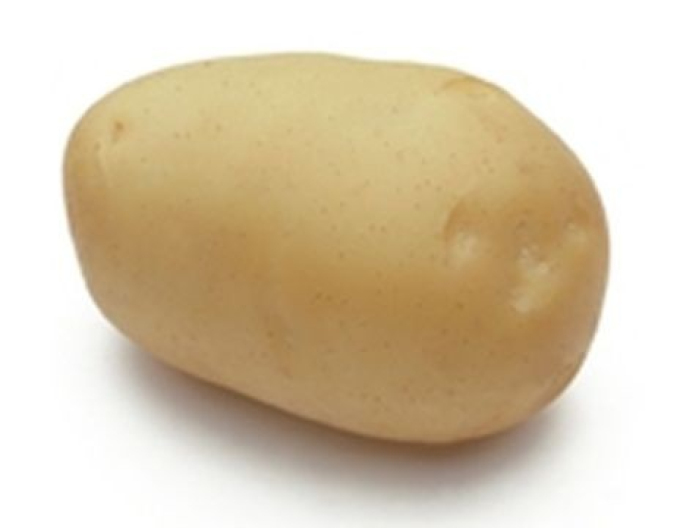 Sadbové brambory ´Adora´ vanička cca 1 kg