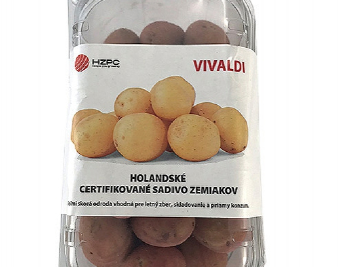 Sadbové brambory ´Vivaldi´ vanička cca 1 kg