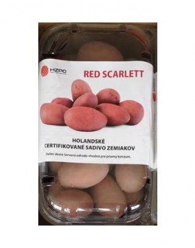 Sadbové brambory ´Red Scarlett´ vanička cca 1 kg