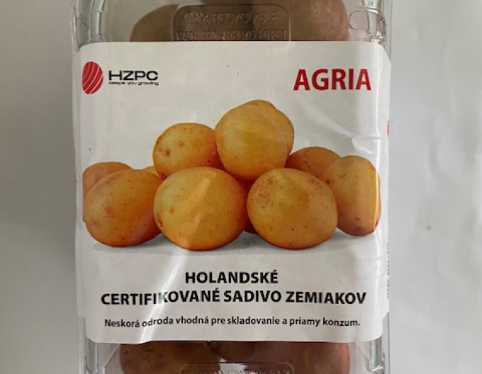 Sadbové brambory ´Agria´ vanička cca 1kg