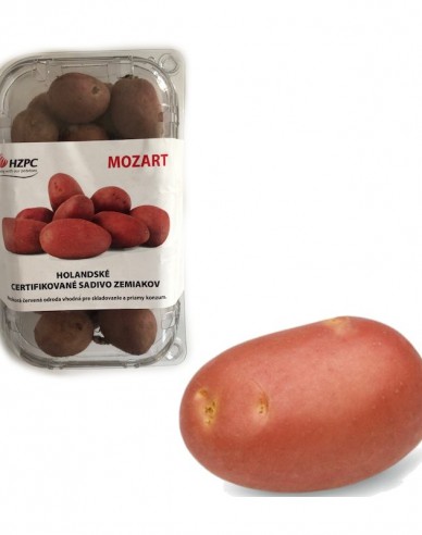 Sazenice brambor ´Mozart´ vanička cca 1kg