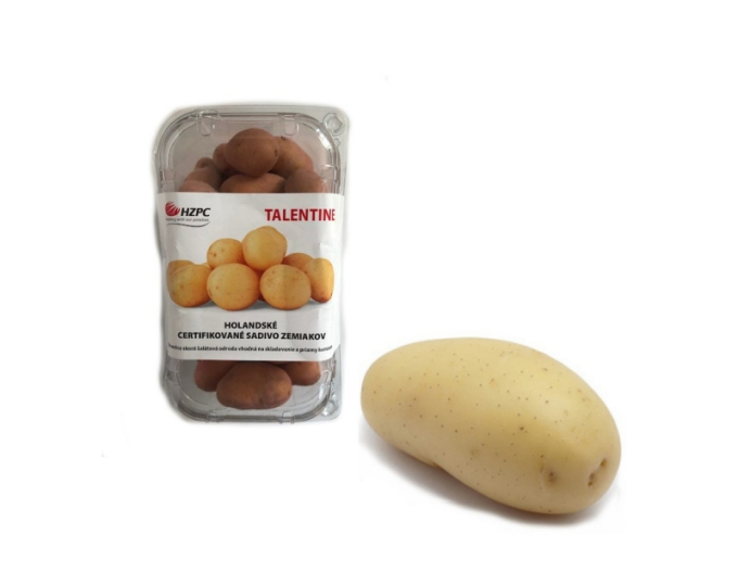 Sadbové brambory Talentine vanička cca 1 kg