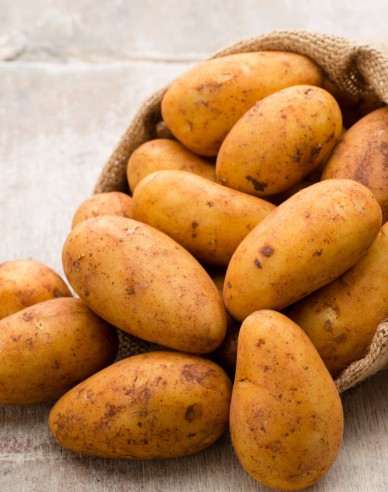 Sazenice brambor ´Wega´ 5kg