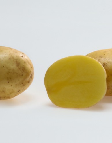 Sazenice brambor ´Soraya´ 5kg