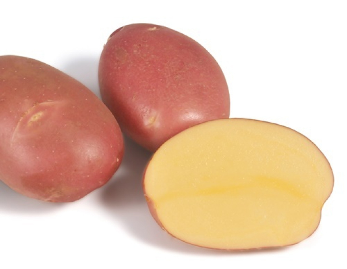 Sazenice brambor ´Mozart´ 5kg