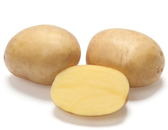 Sazenice brambor ´Noblesse´ 5kg