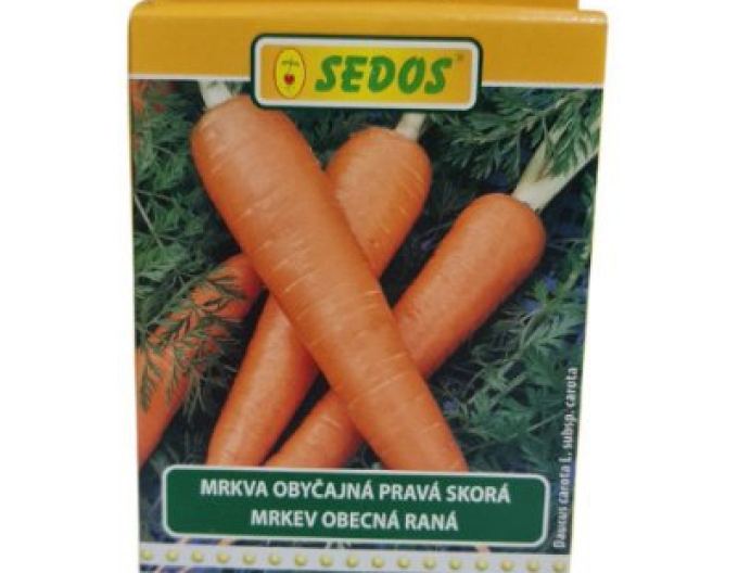 Sedos Mrkev ´Naomi´ - výsevní pás 5m