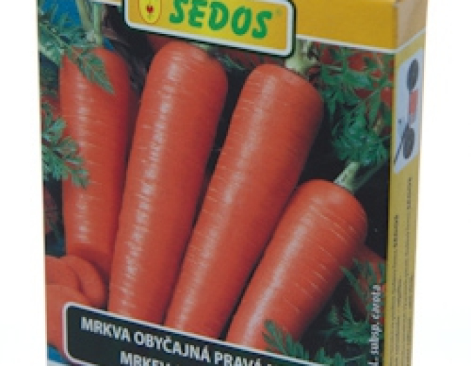 Sedos Mrkev ´Tinga´ - výsevní pás 10m