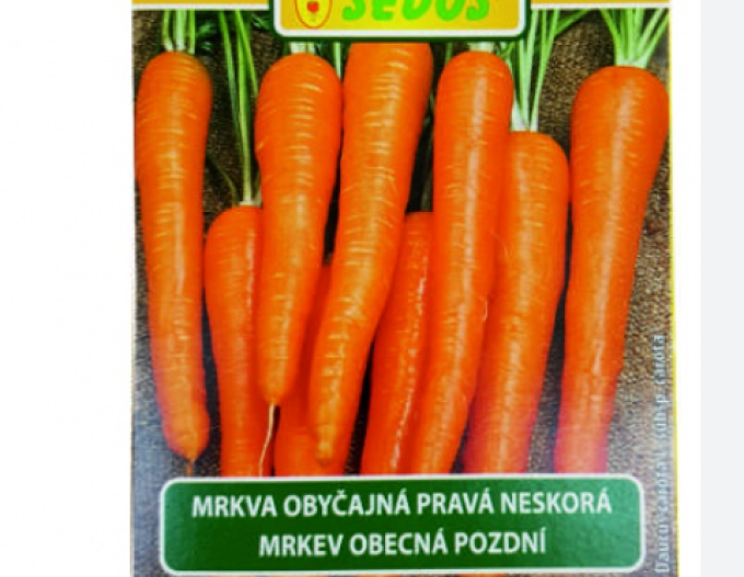 Sedos Mrkev Cortina - výsevní pás 5m
